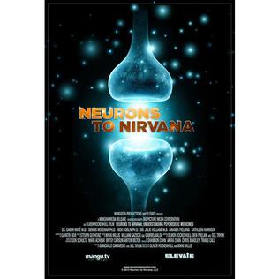     Neurons to Nirvana